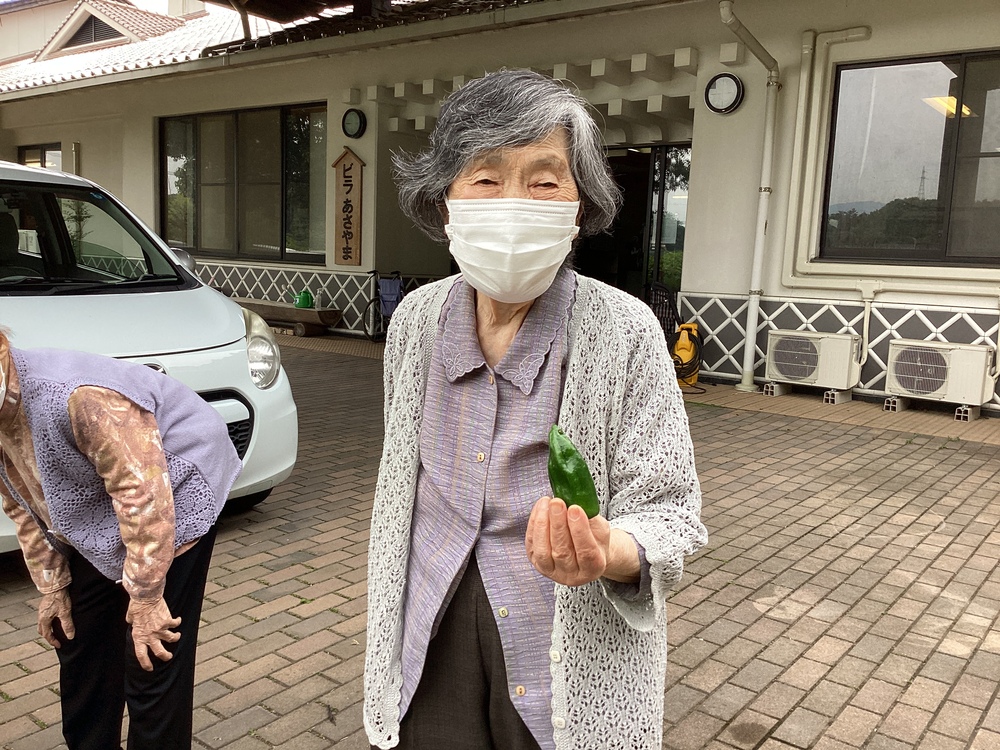 園芸活動