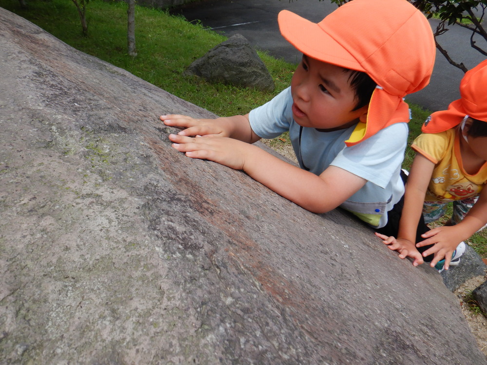 岩に登る男の子