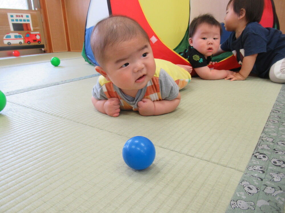 うつ伏せで遊んでいる様子