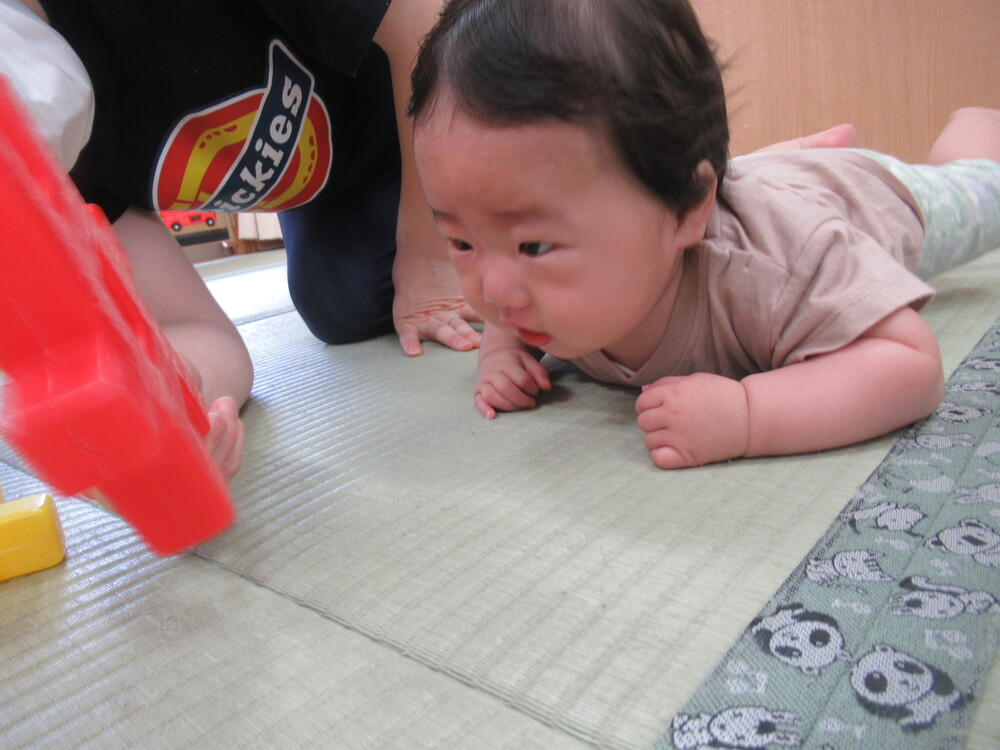 うつ伏せの男の子がブロックを見て頭を上げている