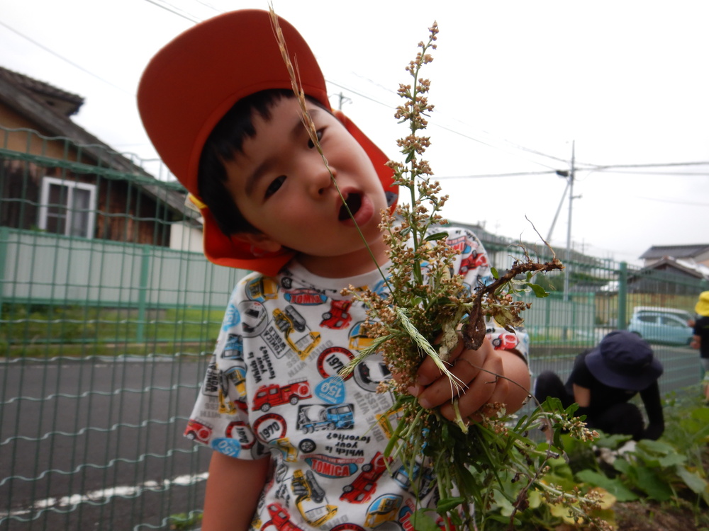 草を抜く子ども