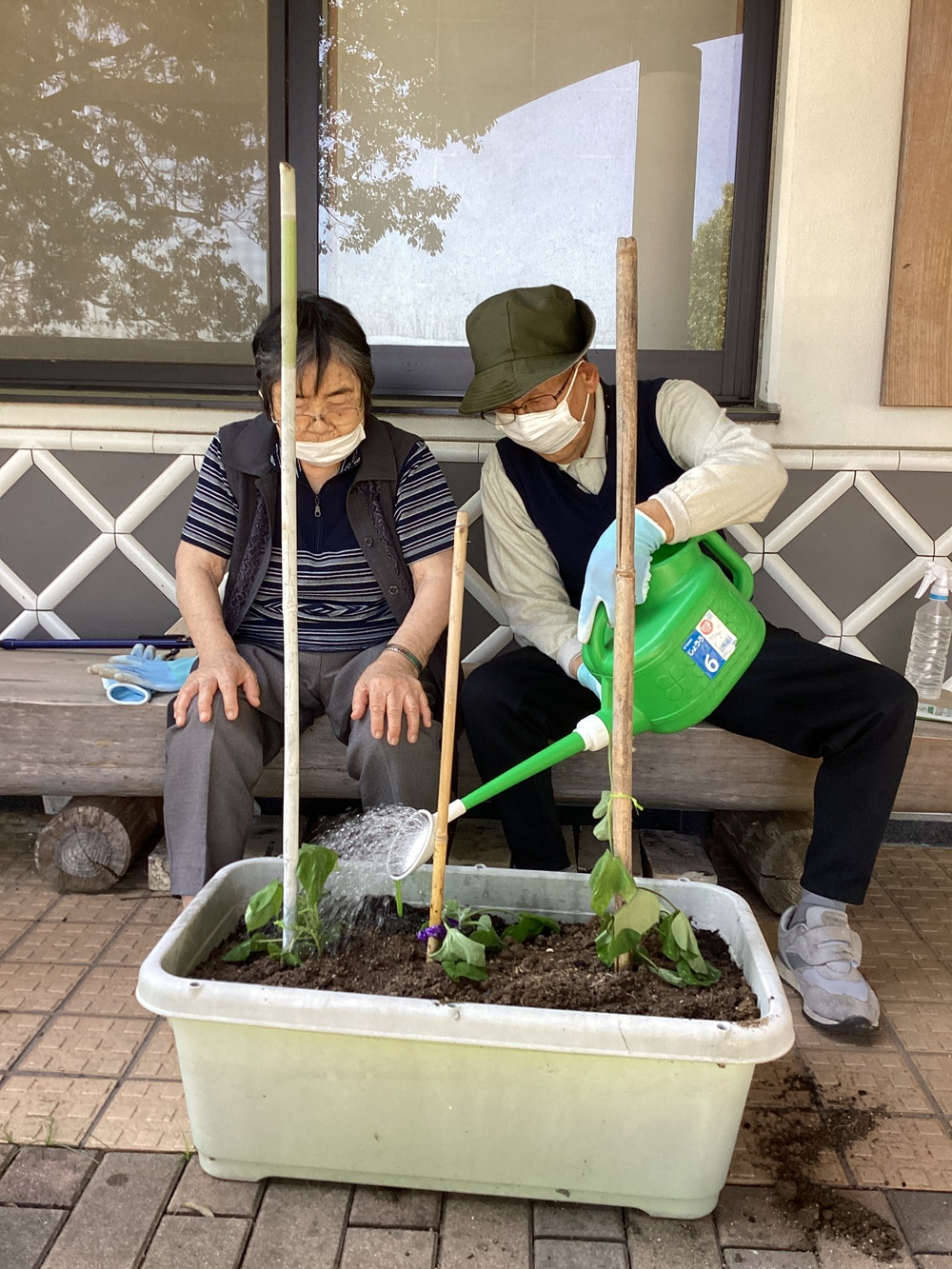 園芸活動