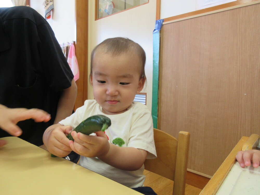 きゅうりを触る男の子