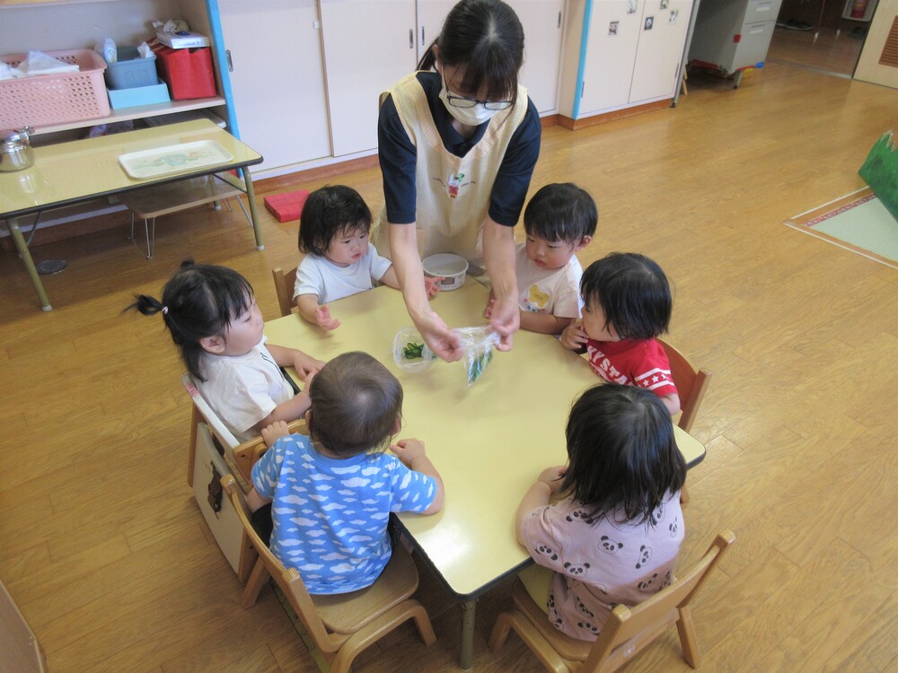 きゅうりクッキングの様子