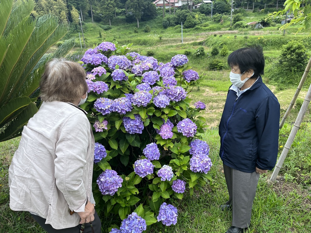 屋外訓練