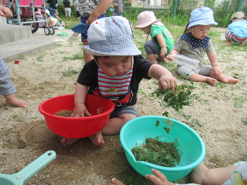 ボウルに草を入れている様子