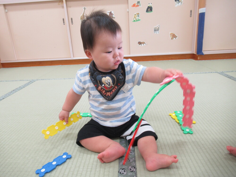 男の子がホックブロックをたくさん持っている