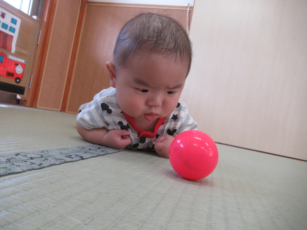 ボールを観察する子ども