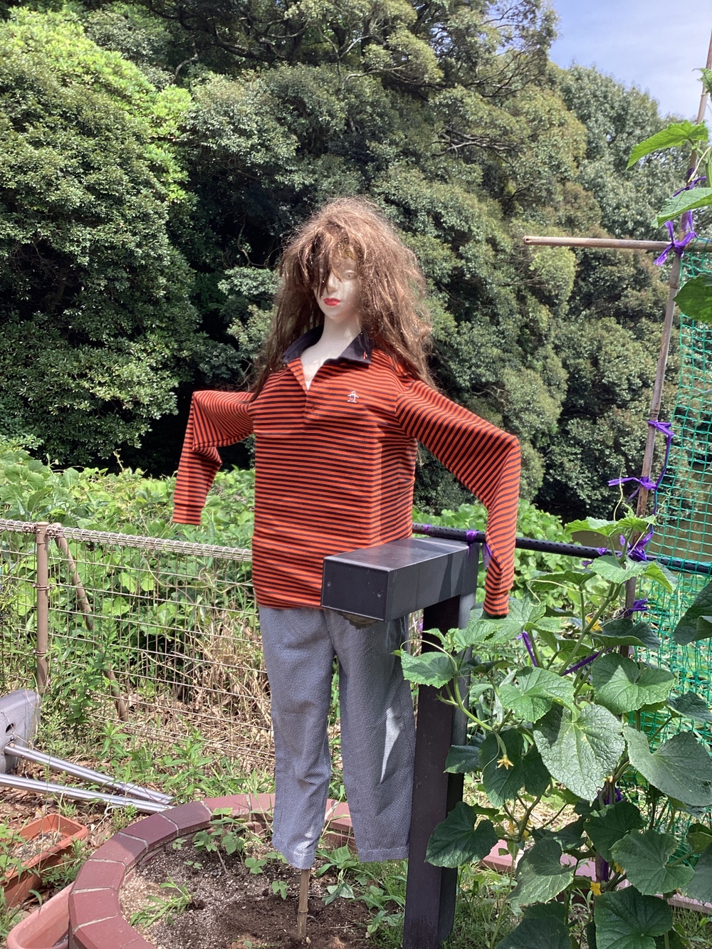 案山子