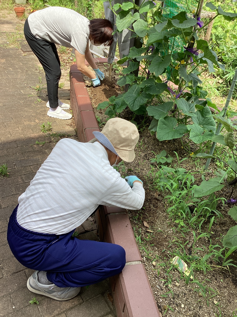 雑草抜き