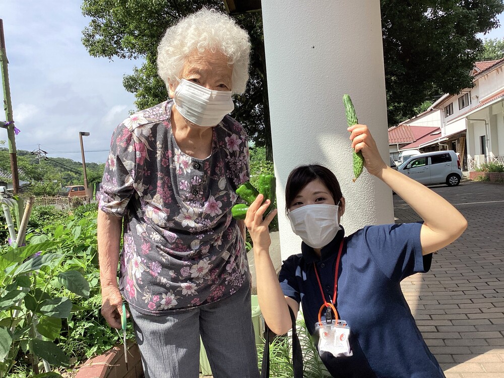 収穫