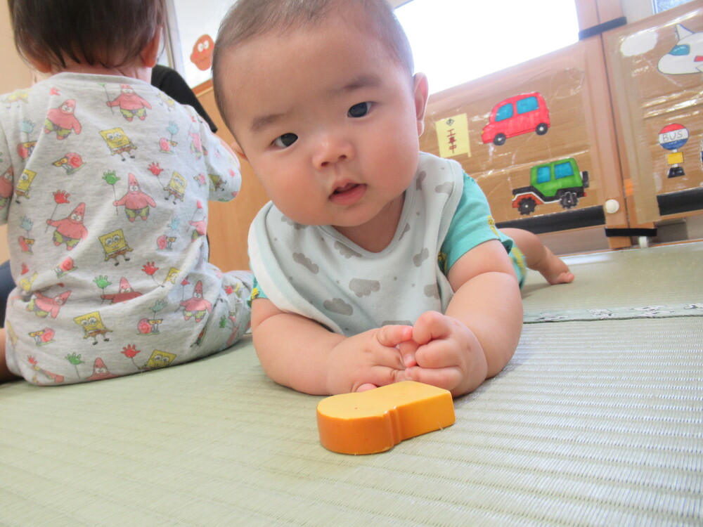 男の子が食パンを見ている