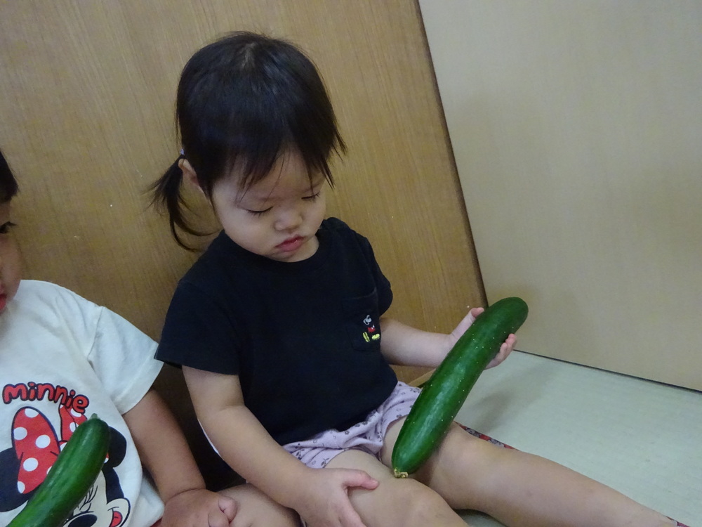 きゅうりの観察をする子ども (3)