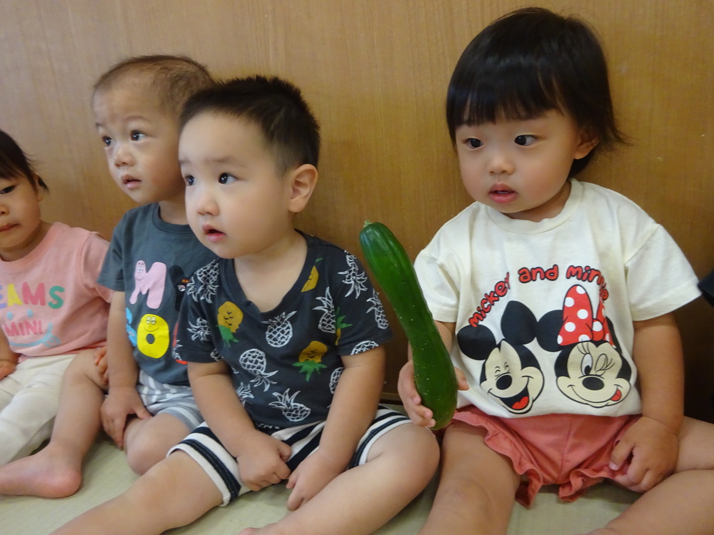 きゅうりの観察をする子ども (4)