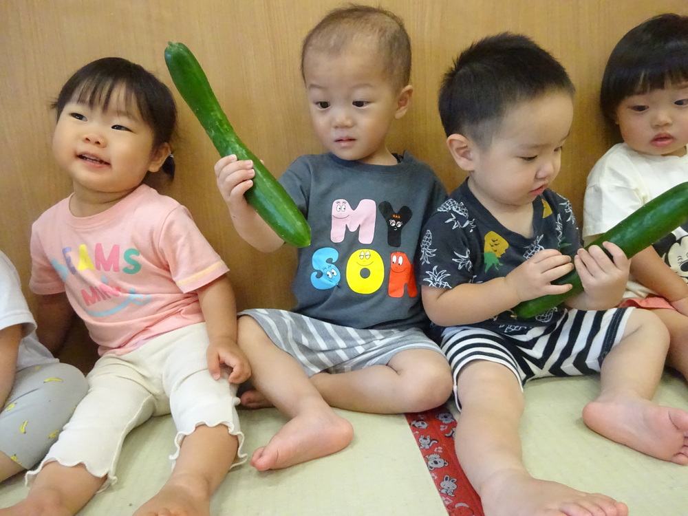 きゅうりの観察をする子ども (5)