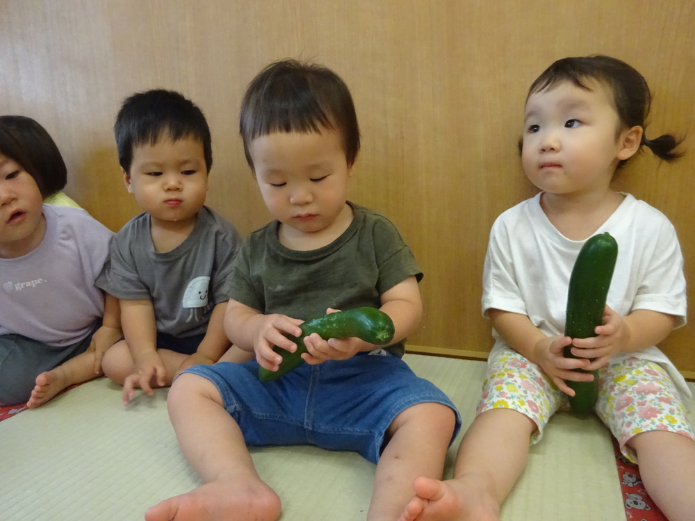 きゅうりの観察をする子ども (6)