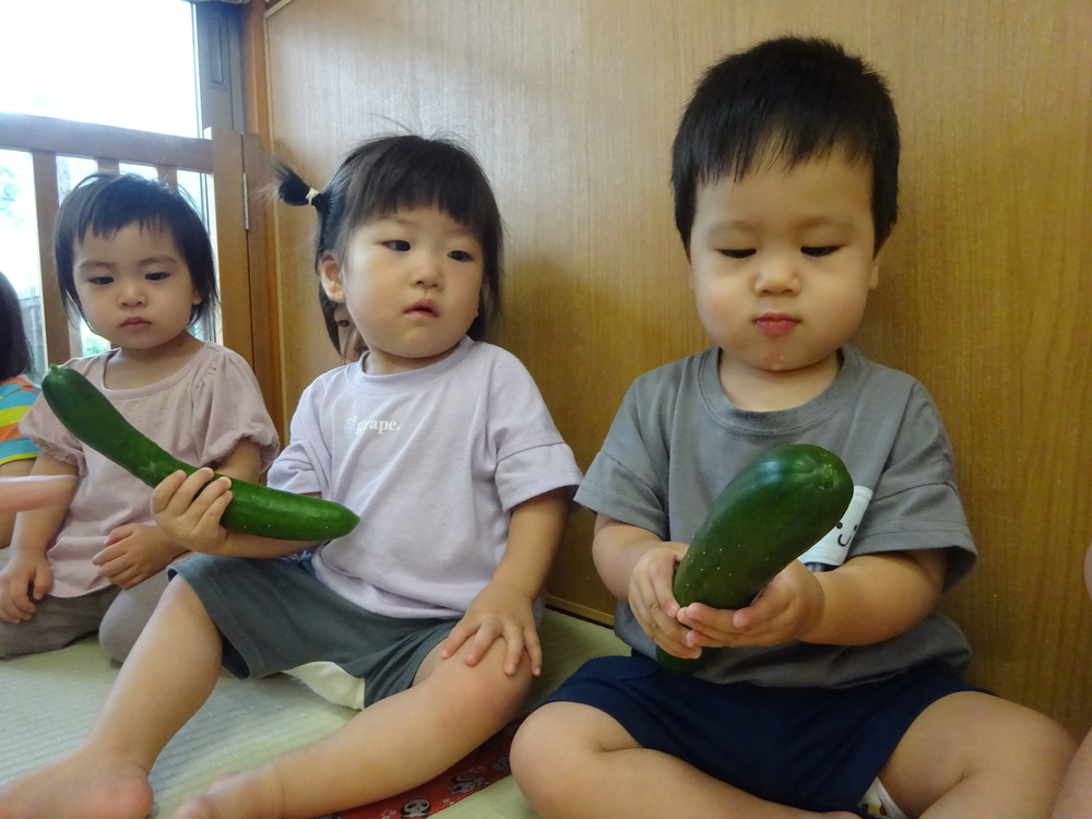 きゅうりの観察をする子ども (7)