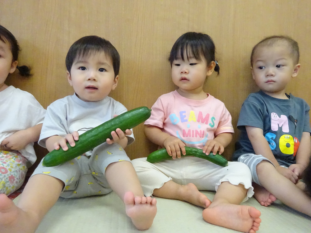 きゅうりの観察をする子ども (9)