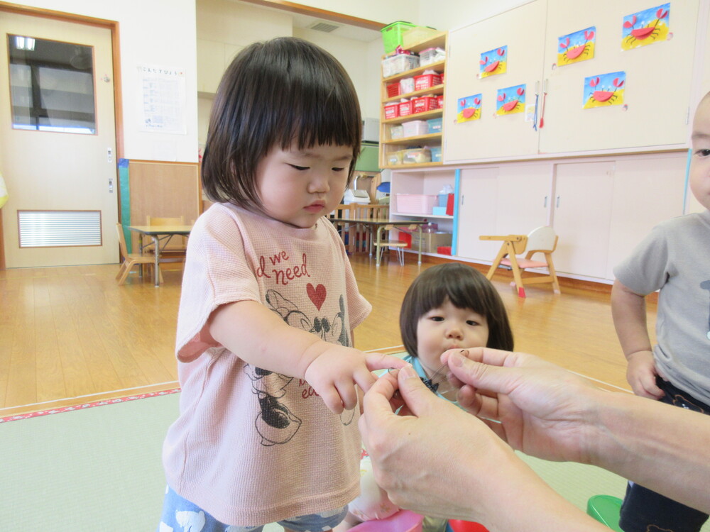 トンボの観察の様子