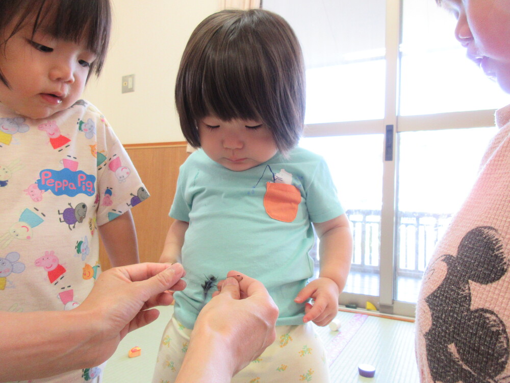 トンボの観察の様子