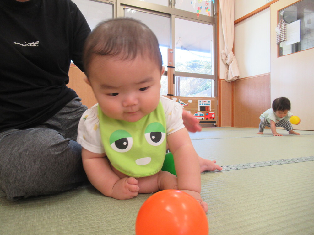 ボールで遊んでいる様子