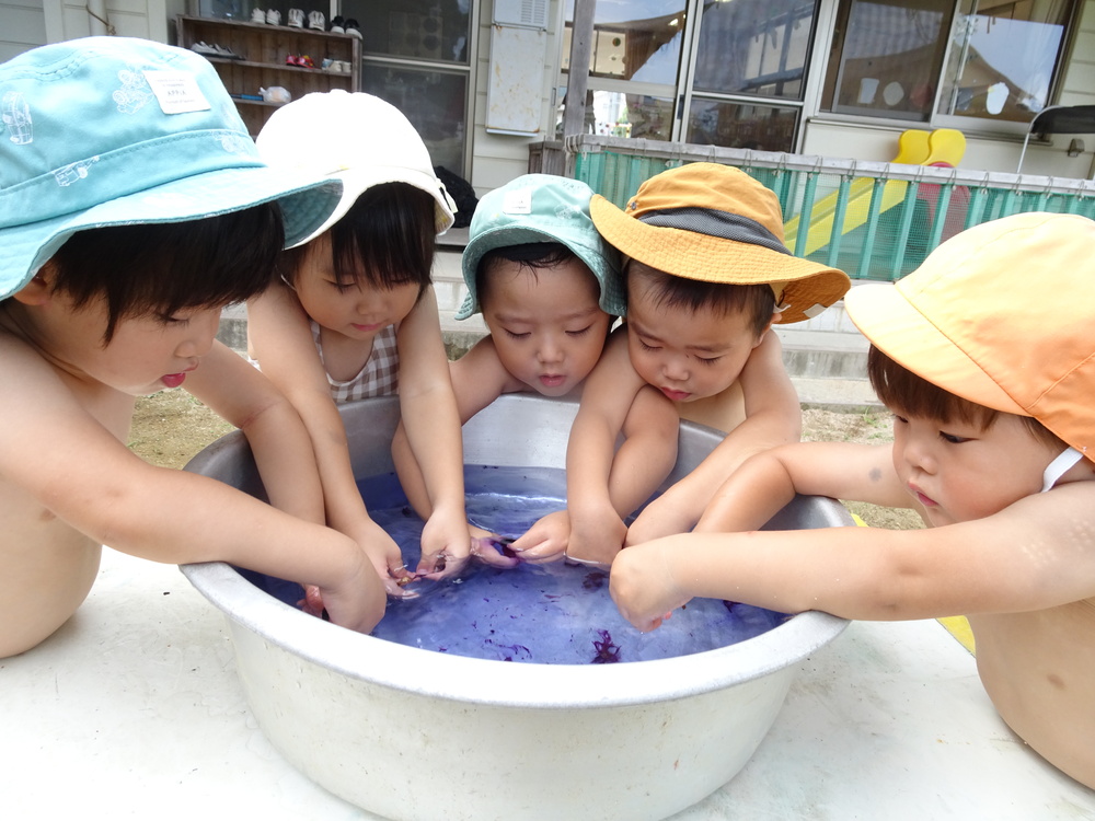 あさがおcolor (6)