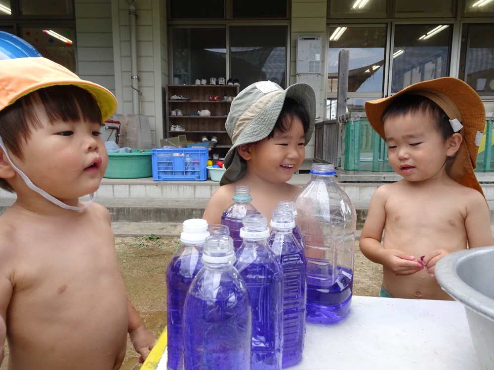 あさがおcolor (10)