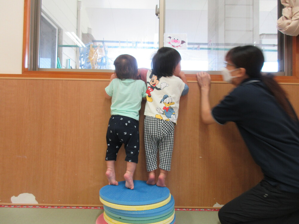 プラポイントで遊ぶ様子