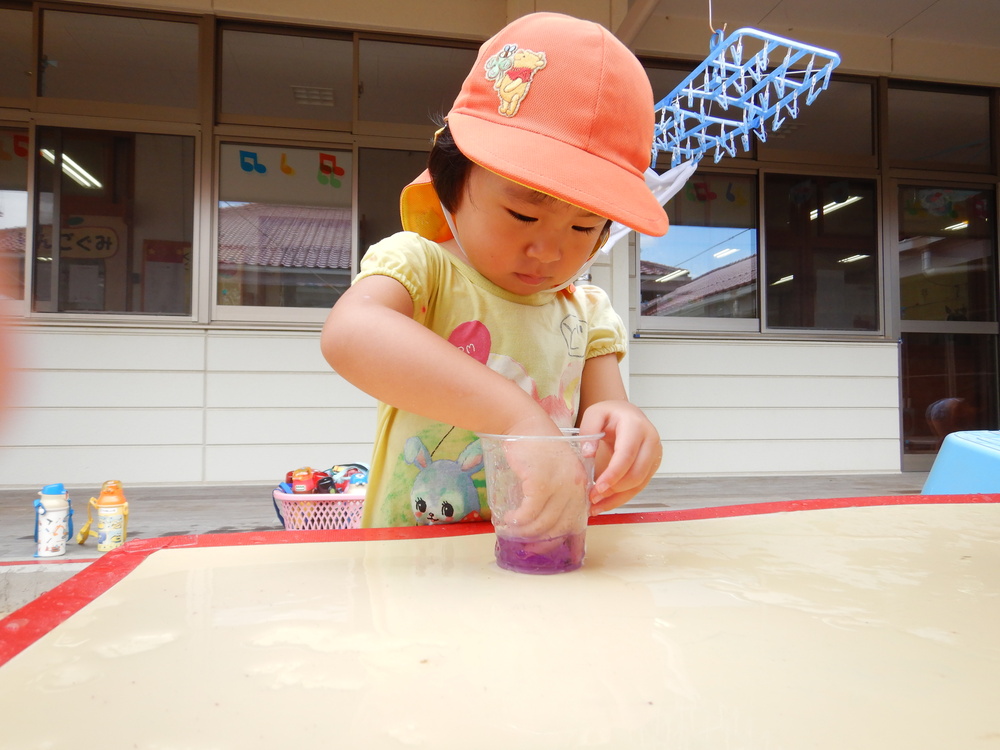 アサガオの色水作り