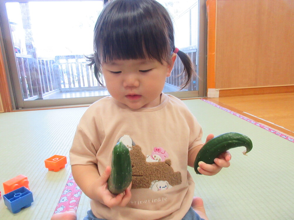 きゅうりを持っている (3)