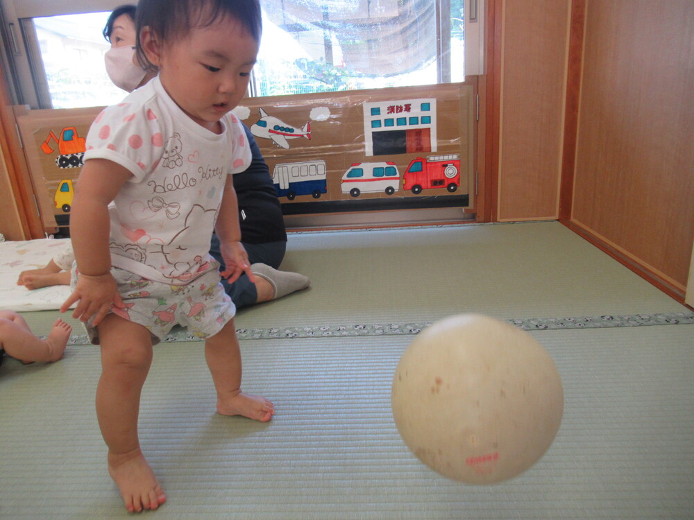 カラートンネルとボールで遊んでいる (6)