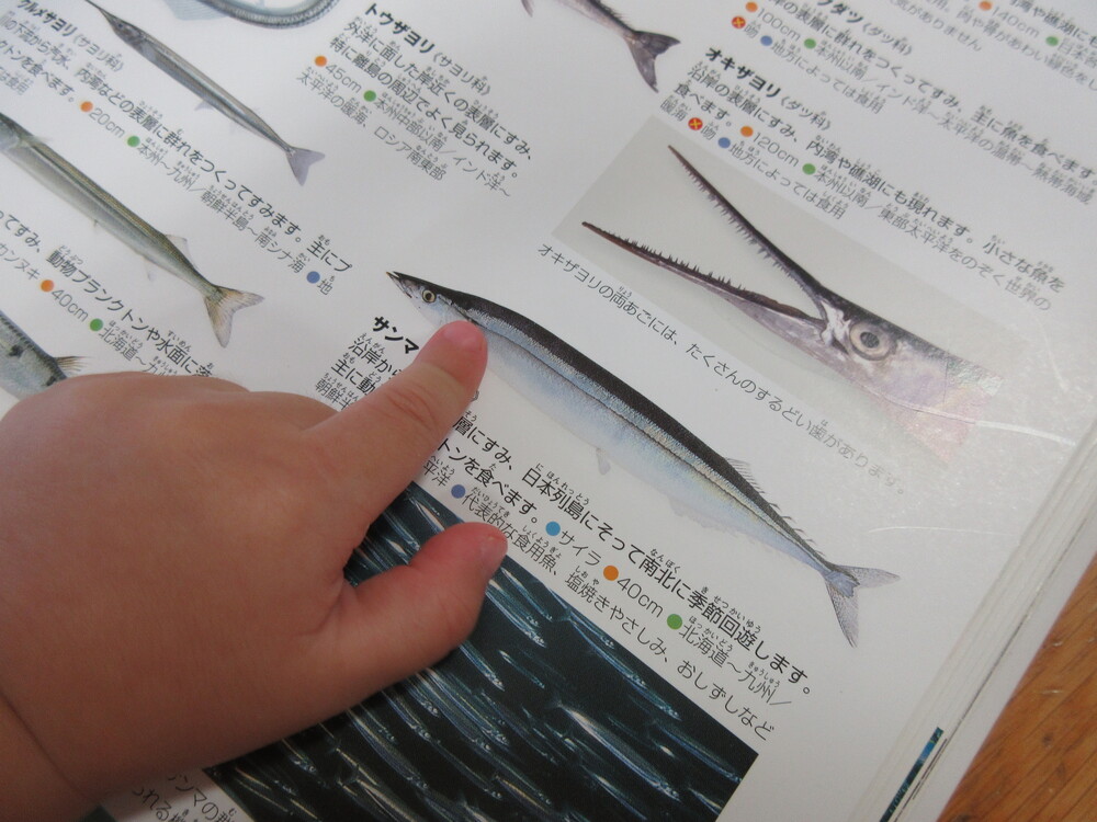 図鑑を見る子ども