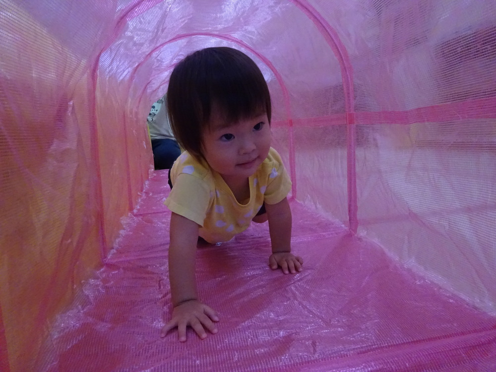 トンネル遊びをしている子ども (11)