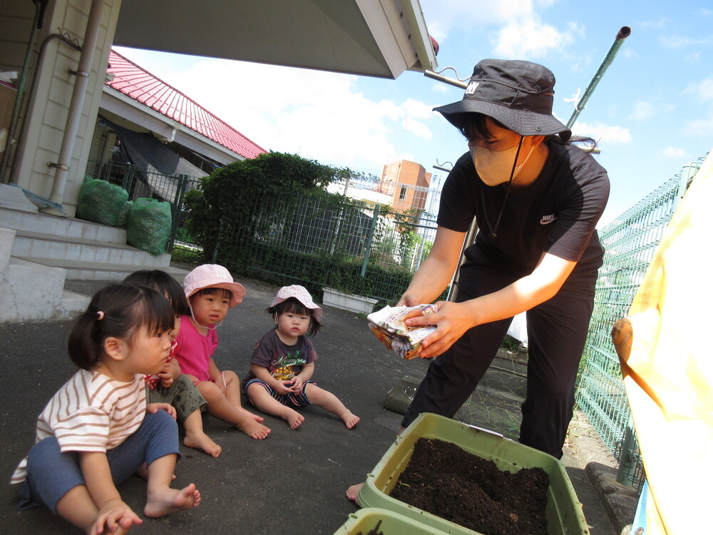 じゃがいも植え付けの様子