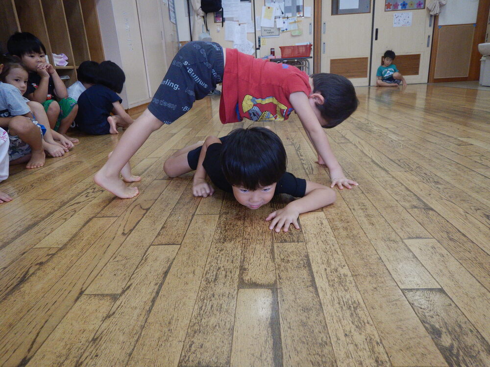 トンネル　両生類の動き