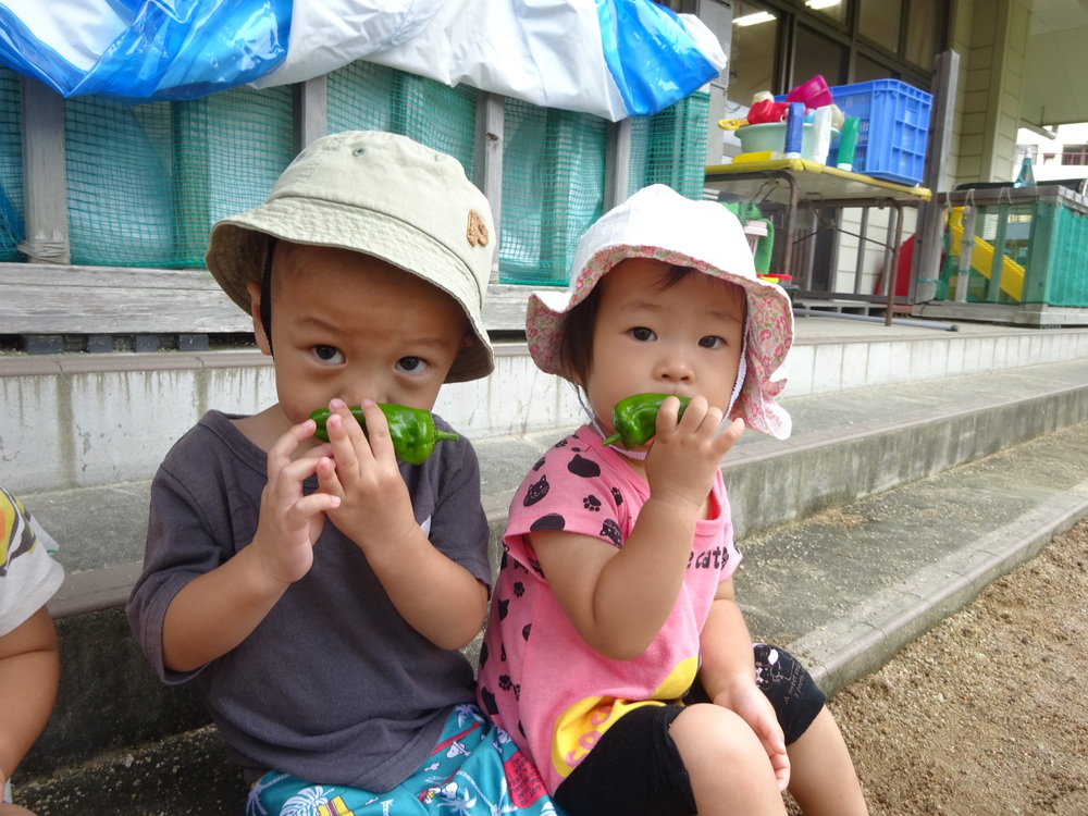 ピーマンの匂いを嗅いでいる子ども (1)