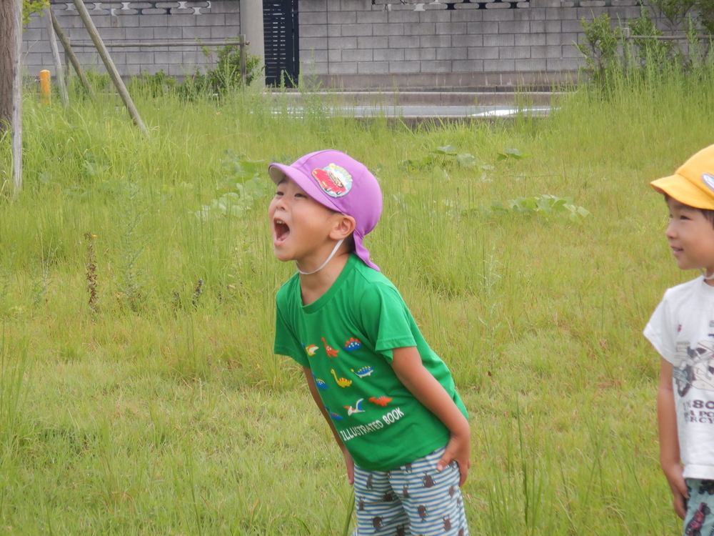 返事をする男の子