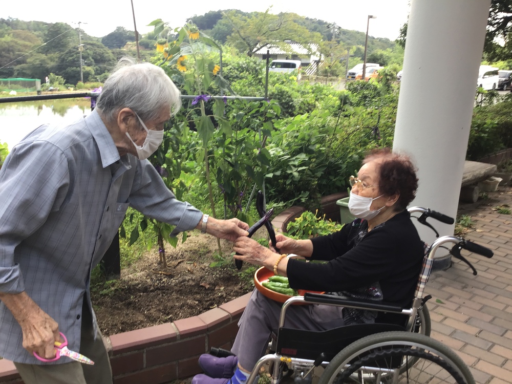 野菜