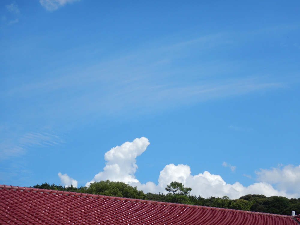 青空