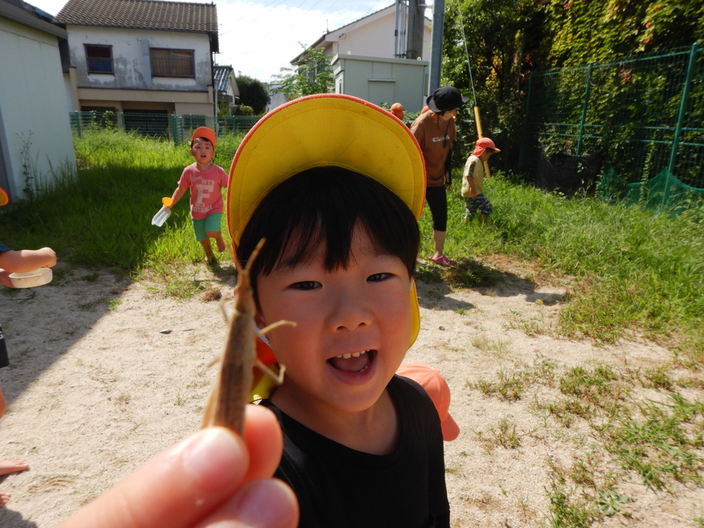 バッタを捕まえている