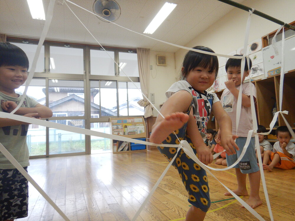 蜘蛛の巣