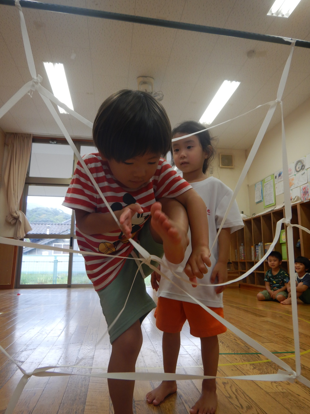 蜘蛛の巣