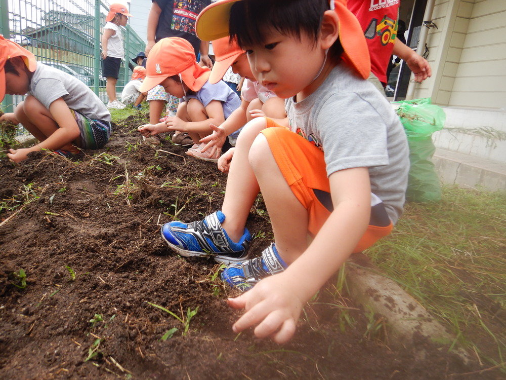 草を抜く男の子