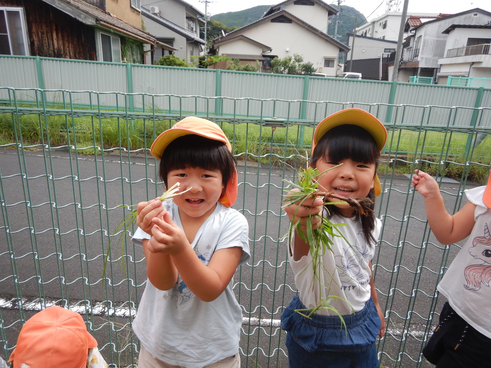 草抜き