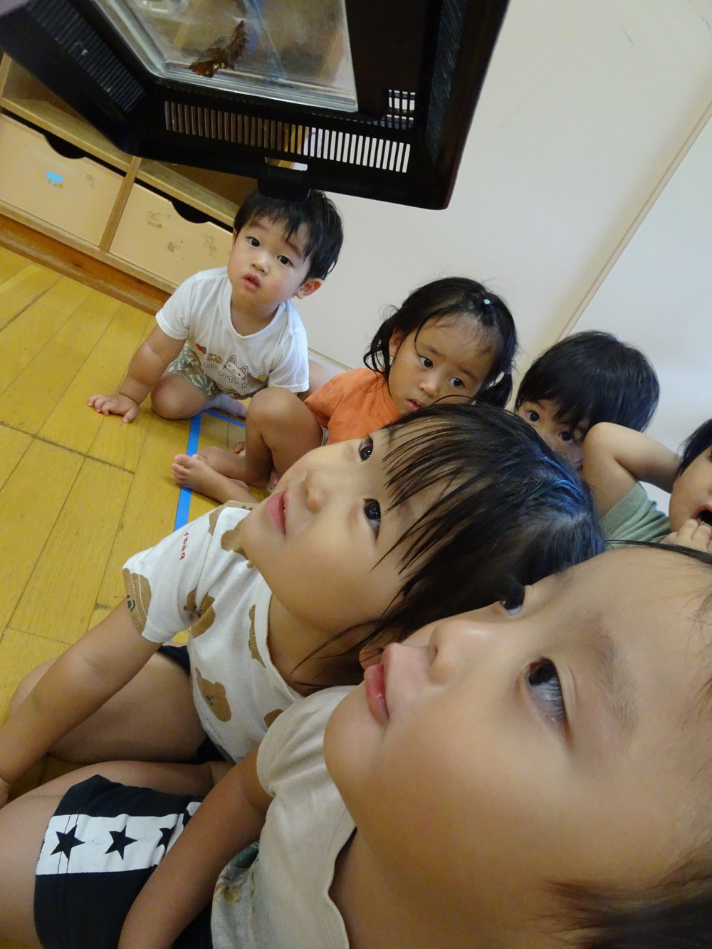 さなぎ (1)