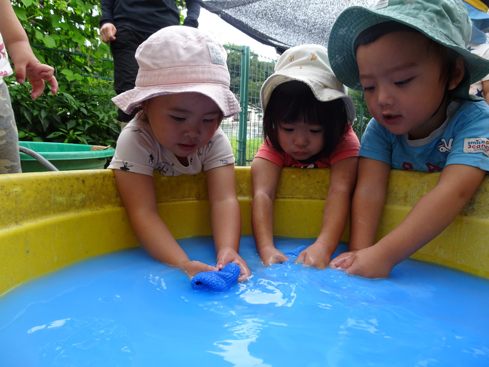 色水遊び (1)