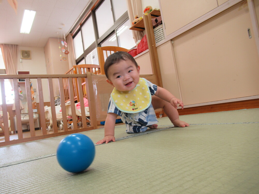 ボールで遊んでいる様子 (8)