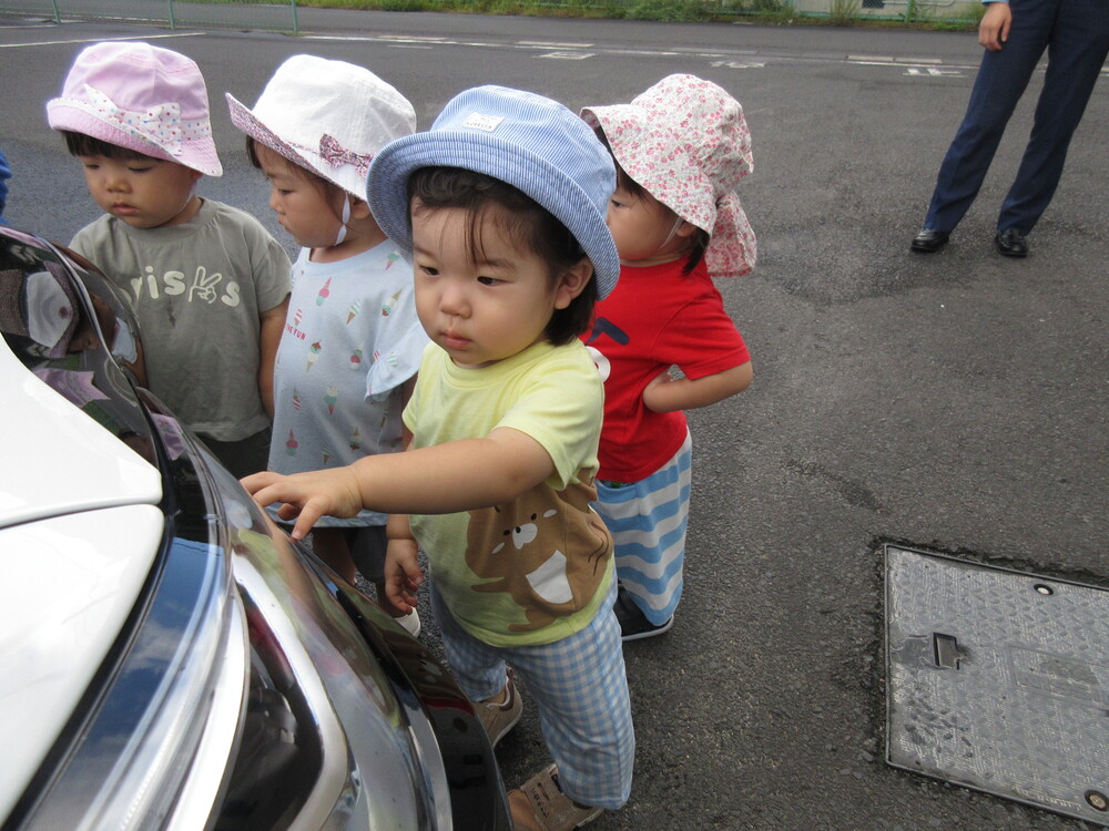 パトカーを見ている
