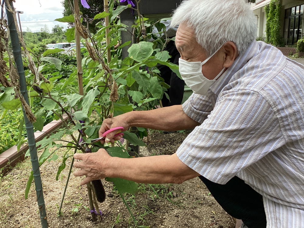 野菜