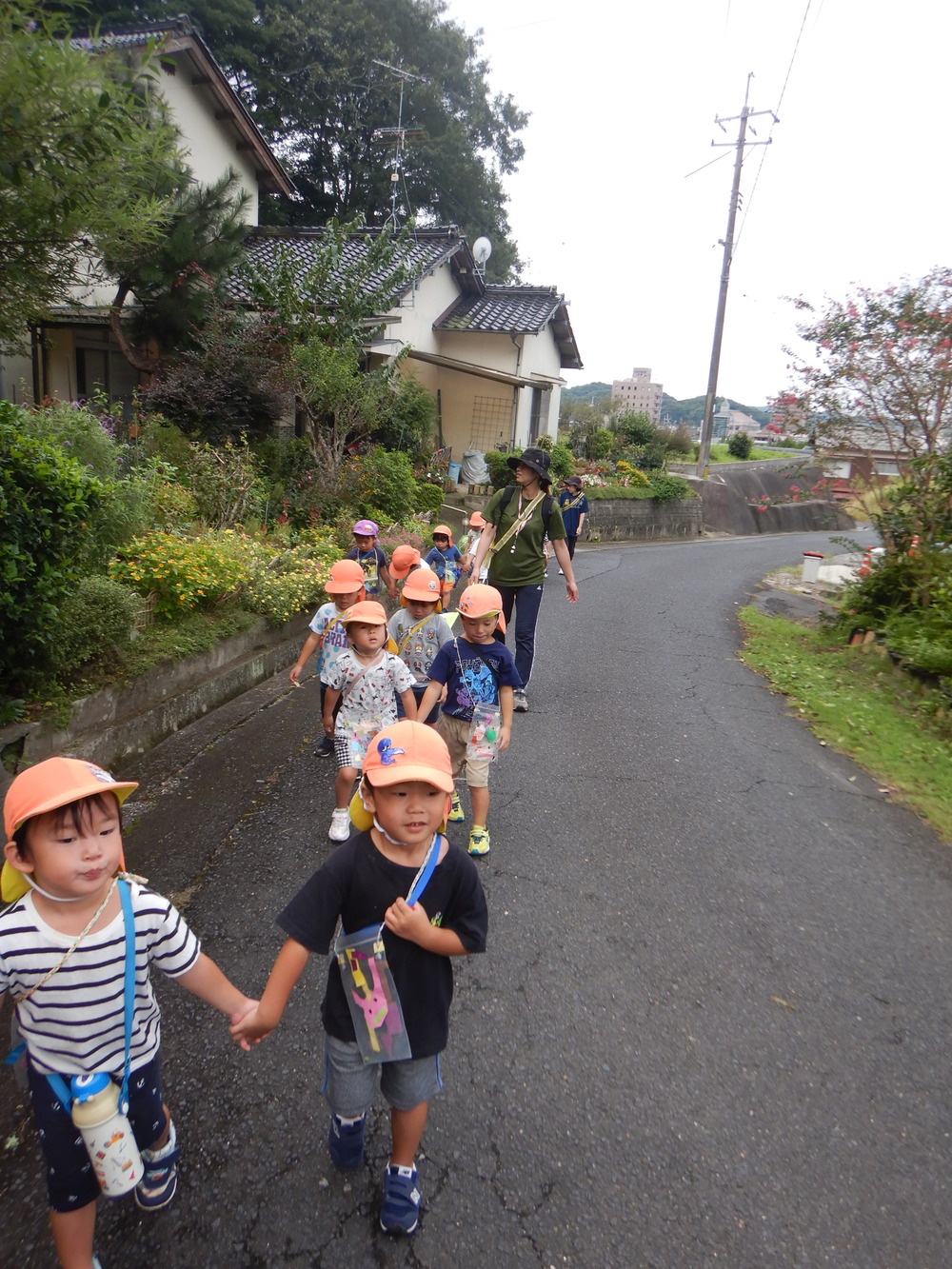 城山の道